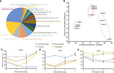 Multiomics analysis elucidated molecular mechanism of aromatic amino acid biosynthesis in Akebia trifoliata fruit